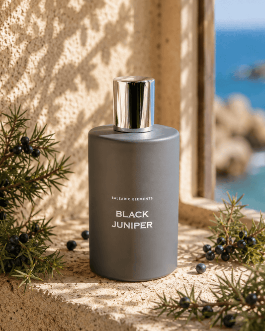A matte dark grey bottle of Black Juniper fragrance, featuring a reflective silver cap, styled on a textured stone ledge with pine branches and a blurred coastal background.