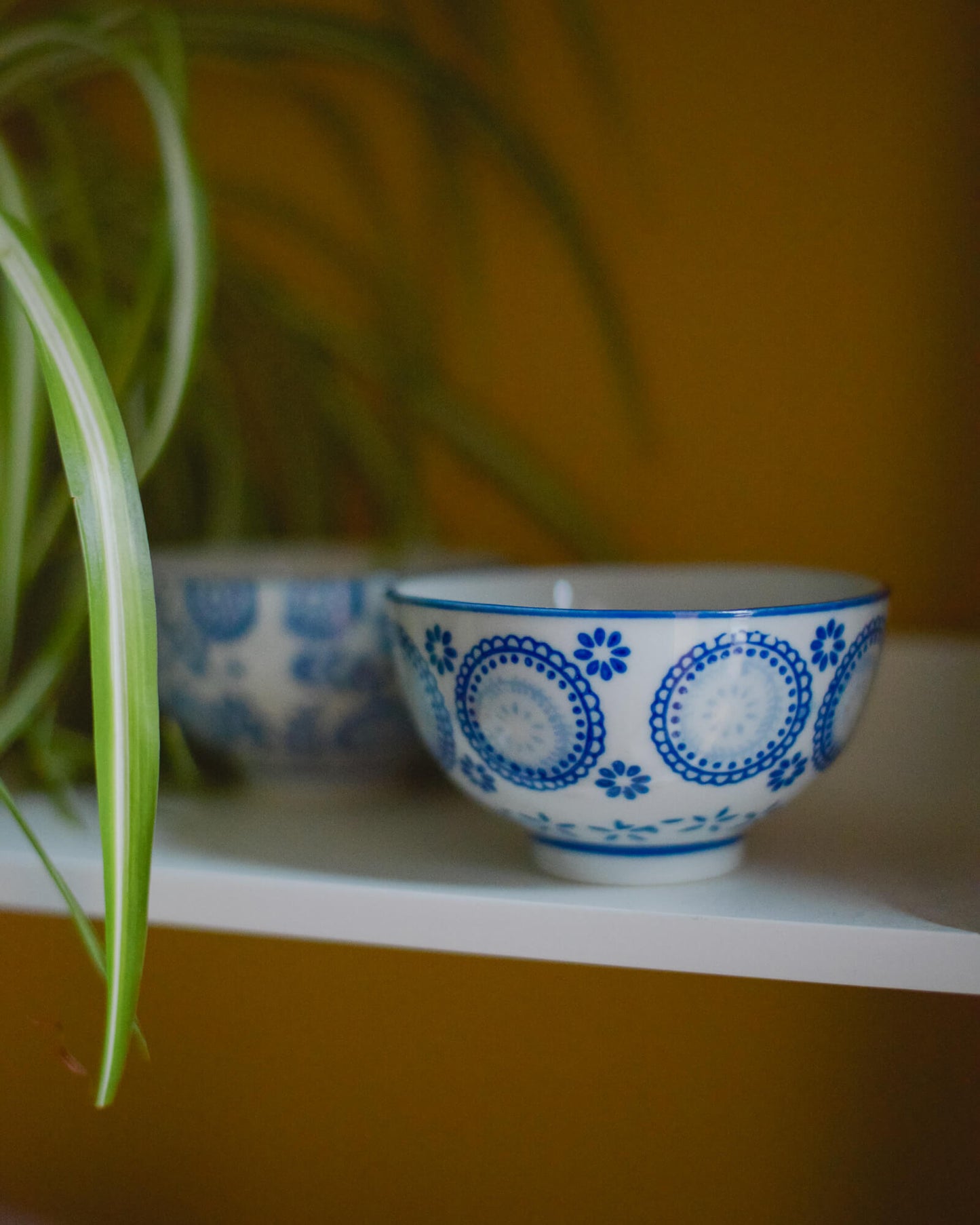 Two small blue and white patterned ceramic bowls on a shelf with a plant in the background