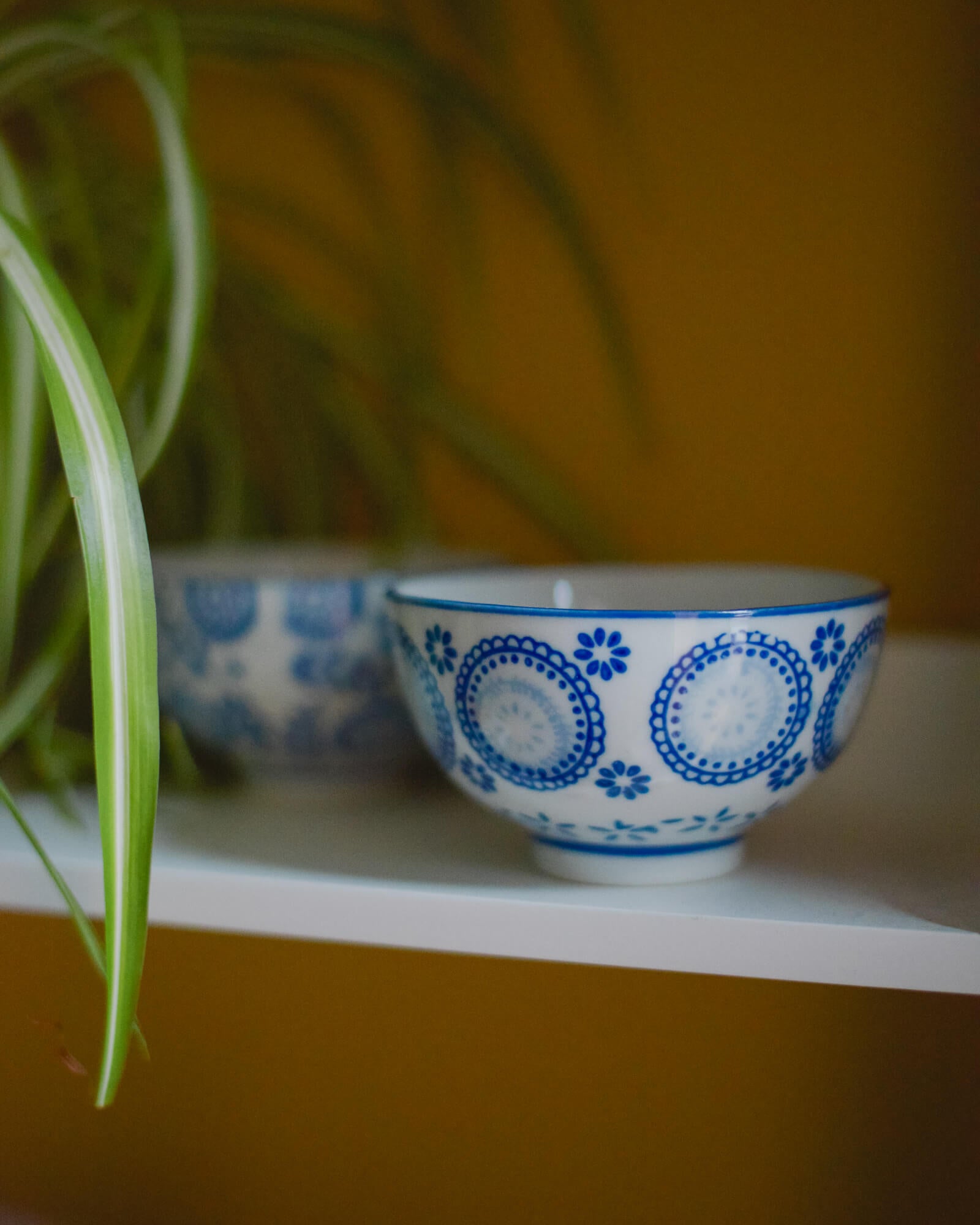 Two small blue and white patterned ceramic bowls on a shelf with a plant in the background