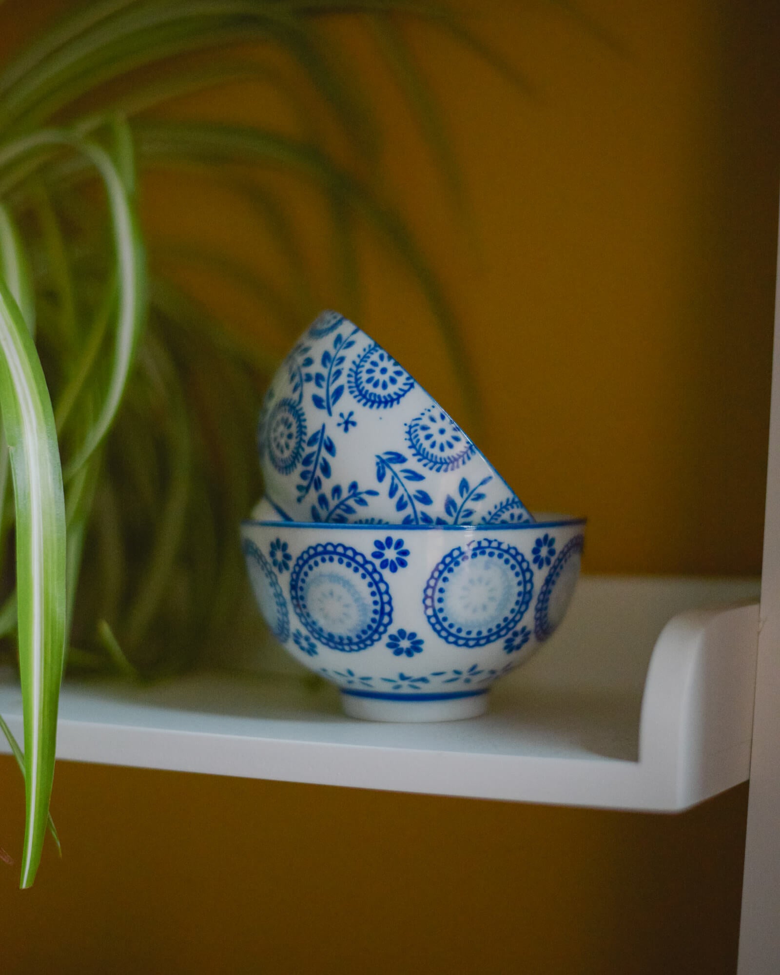 Two small blue and white patterned ceramic bowls stacked on a white surface with a plant in the background.